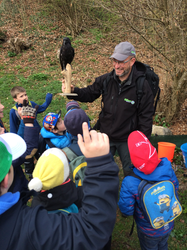 Kurs "Amphibienzaun" (Frühling 2019)