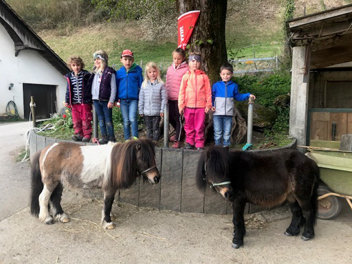 "Pony-Kurs" (Frühling 2021)