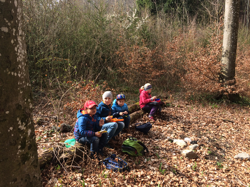 Kurs "Amphibienzaun" (Frühling 2019)