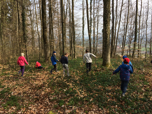 Kurs "Amphibienzaun" (Frühling 2019)