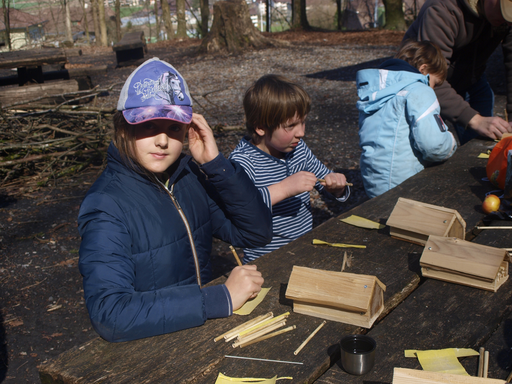 Kurs "Wildbienen" (Frühling 2019)