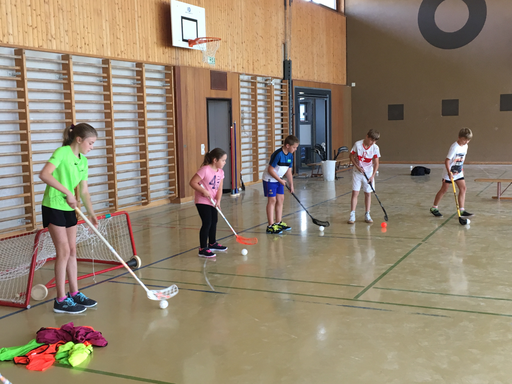 Kurs "Unihockey-Plauschturnier" (Herbst 2019)