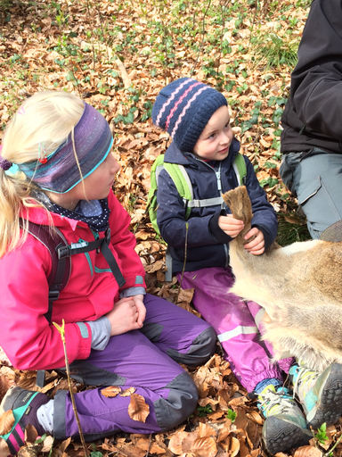 Kurs "Amphibienzaun" (Frühling 2019)