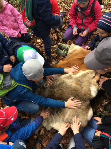 Kurs "Amphibienzaun" (Frühling 2019)