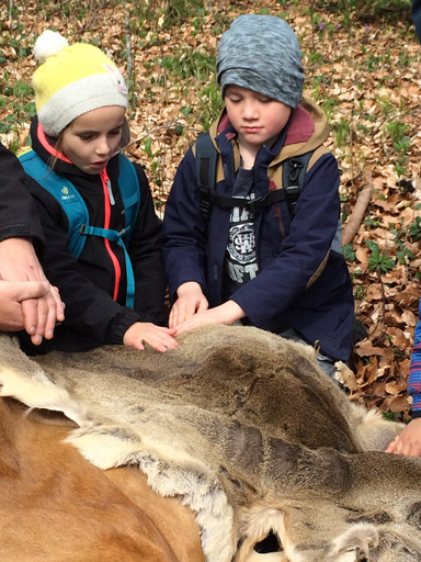 Kurs "Amphibienzaun" (Frühling 2019)