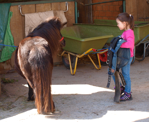 Kurs "Pony-Kurs" (Frühling 2018)