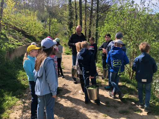 Kurs "Unsere Bären im BärenPark" (Frühling 2022)