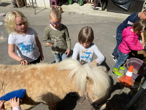 "Ponynachmittag auf der Hillranch" (Frühling 2022)