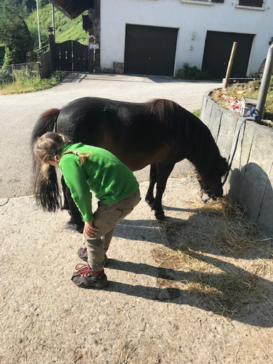 Kurs "Pony-Kurs" (Sommer 2019)