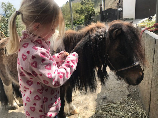 "Pony-Kurs" (Frühling 2021)