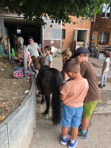 Kurs "Ponyplausch" (Sommer 2022)