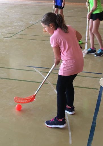 Kurs "Unihockey-Plauschturnier" (Herbst 2019)