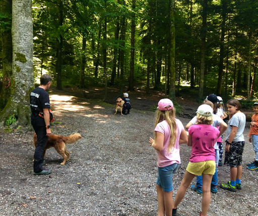 Kurs "REDOG - Vermisstensuchhunde bei der Arbeit" (Sommer 2021)