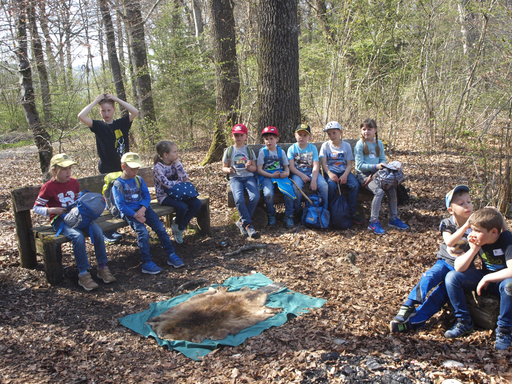 Kurs "Dem Biber auf der Spur" (Frühling 2019)