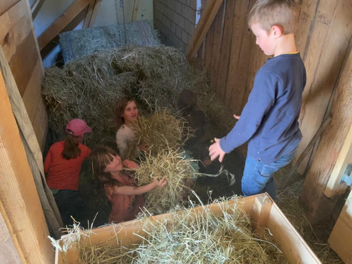 "Ponynachmittag auf der Hillranch" (Frühling 2022)