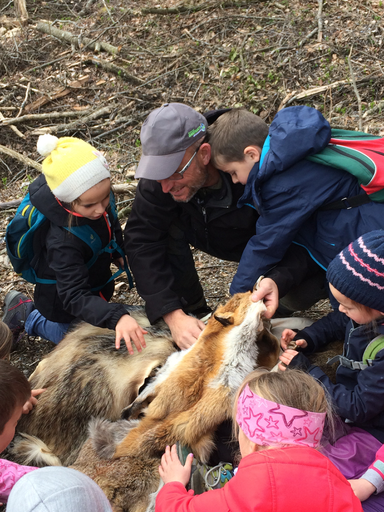 Kurs "Amphibienzaun" (Frühling 2019)