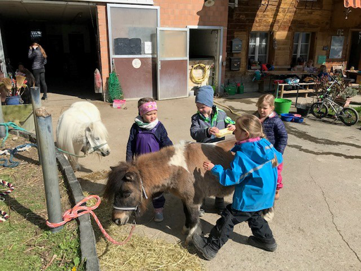 "Pony-Kurs" (Frühling 2021)