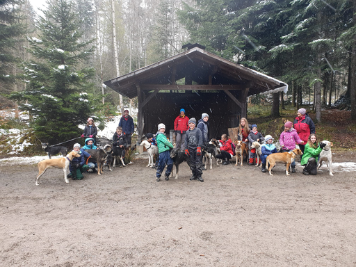 Kurs "Schlittenhunde-Abenteuer" (Frühling 2021)