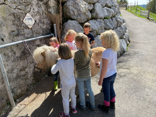 "Ponynachmittag auf der Hillranch" (Frühling 2022)