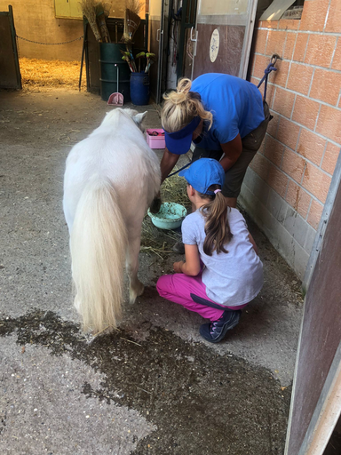 Kurs "Ponyplausch" (Sommer 2022)