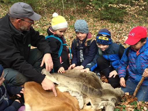 Kurs "Amphibienzaun" (Frühling 2019)