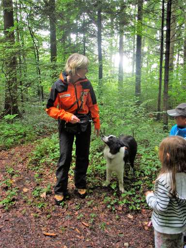 Kurs "REDOG - Vermisstensuchhunde bei der Arbeit" (Sommer 2019)