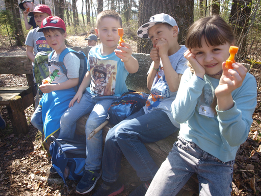 Kurs "Dem Biber auf der Spur" (Frühling 2019)