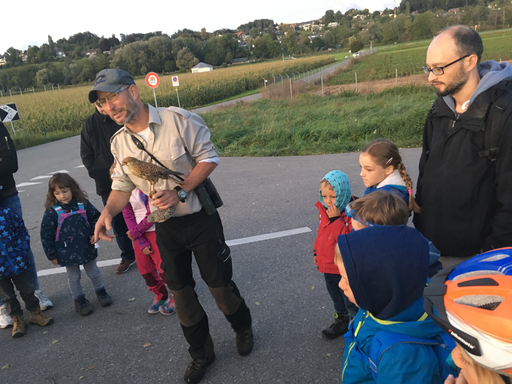 Kurs "Beobachten von dämmerungs- und nachtaktiven Tieren" (Herbst 2019)