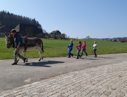 Kurs "Eselige Kutschenfahrt" (Frühling 2021)