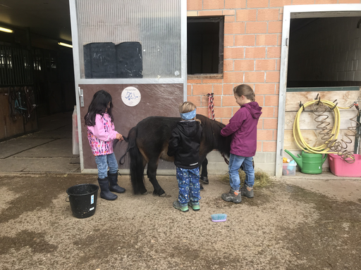 Kurs "Pony-Kurs" (Herbst 2020)