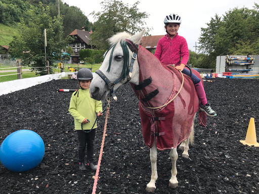 "Pony-Kurs" (Sommer 2021)