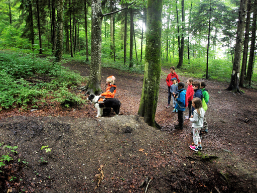 Kurs "REDOG - Vermisstensuchhunde bei der Arbeit" (Sommer 2019)