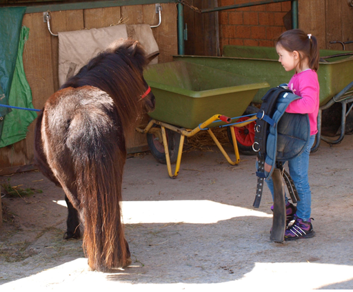 Kurs "Pony-Kurs" (Frühling 2018)