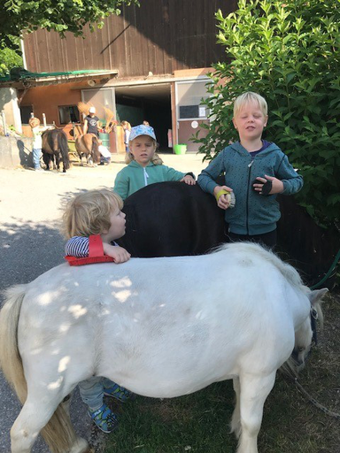 Kurs "Pony-Kurs" (Sommer 2019)