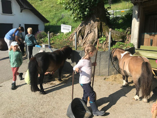 Kurs "Pony-Kurs" (Sommer 2019)