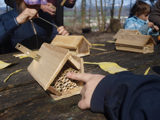 Kurs "Wildbienen" (Frühling 2019)