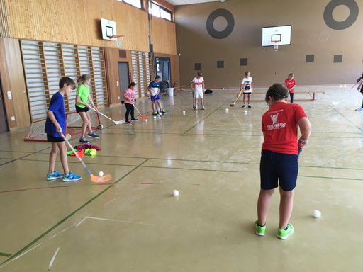 Kurs "Unihockey-Plauschturnier" (Herbst 2019)