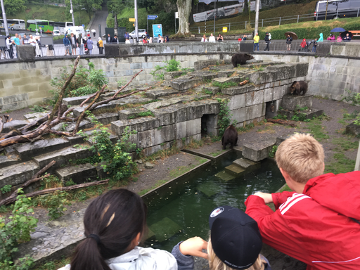 Kurs "Unsere Bären im Bärenpark" (Sommer 2019)