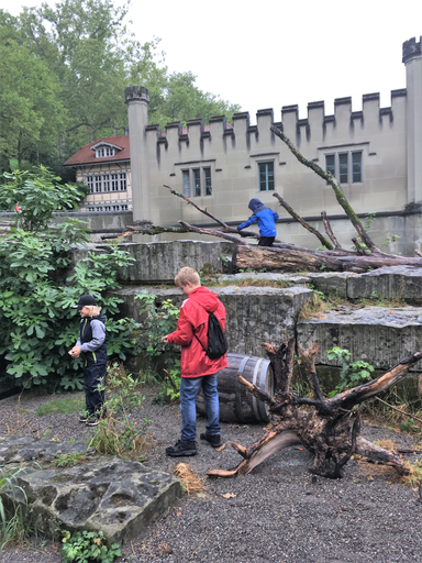 Kurs "Unsere Bären im Bärenpark" (Sommer 2019)