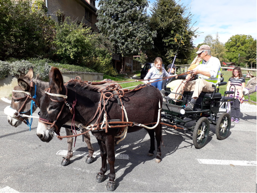 Kurs "Eselige Kutschenfahrt" (Herbst 2018)