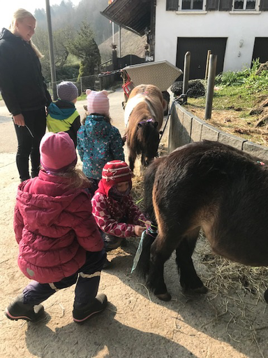 Kurs "Pony-Kurs" (Frühling 2019)