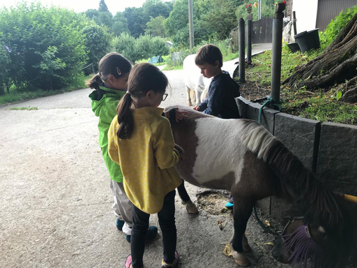 "Pony-Kurs" (Sommer 2021)