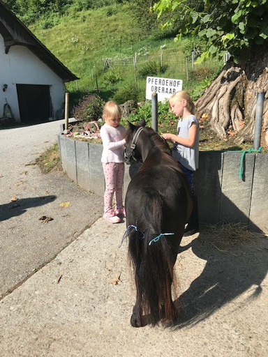 Kurs "Pony-Kurs" (Sommer 2019)