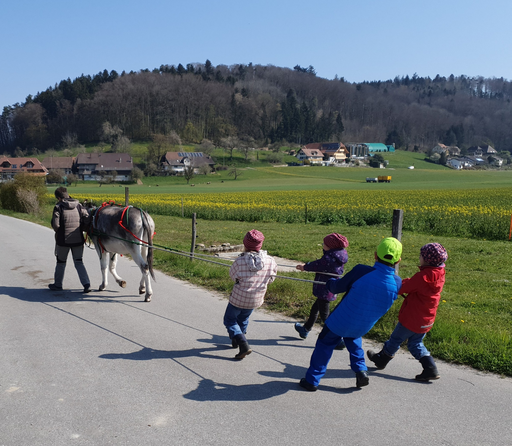 Kurs "Eselige Kutschenfahrt" (Frühling 2021)