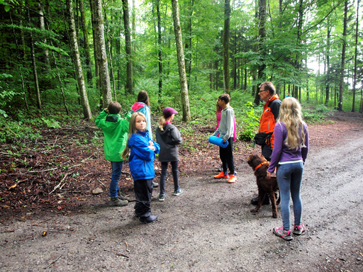 Kurs "REDOG - Vermisstensuchhunde bei der Arbeit" (Sommer 2019)