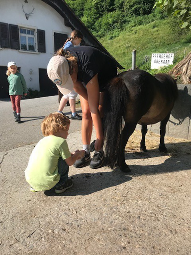 Kurs "Pony-Kurs" (Sommer 2019)