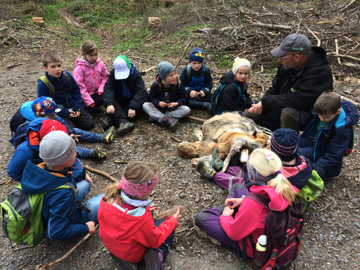 Kurs "Amphibienzaun" (Frühling 2019)