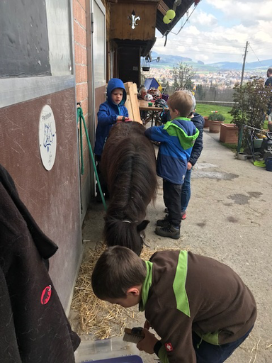 Kurs "Pony-Kurs" (Frühling 2019)