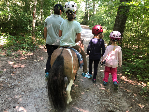 Kurs "Ponyplausch" (Sommer 2022)