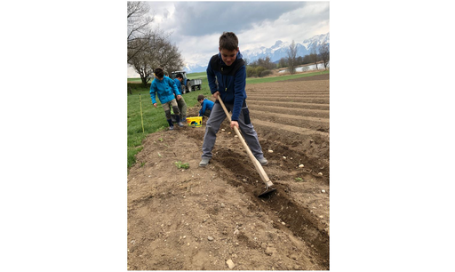 Kurs "Erlebniswelt Bauernhof" (Frühling 2021)